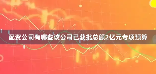 配资公司有哪些　　该公司已获批总额2亿元专项预算