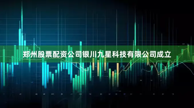 郑州股票配资公司银川九星科技有限公司成立