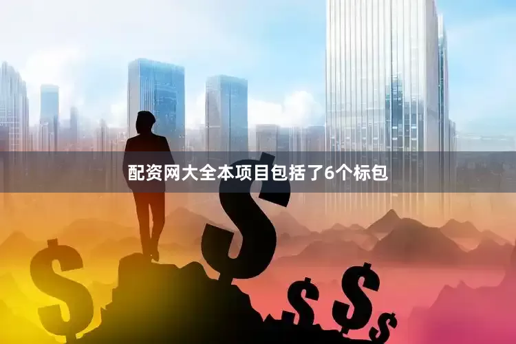 配资网大全本项目包括了6个标包