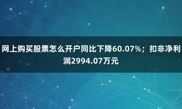 网上购买股票怎么开户同比下降60.07%;扣非净利润2994.07万元