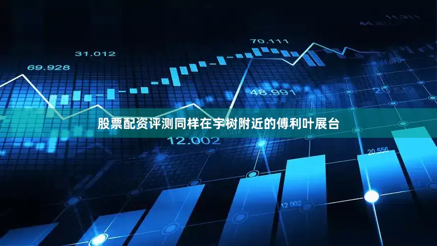 股票配资评测同样在宇树附近的傅利叶展台