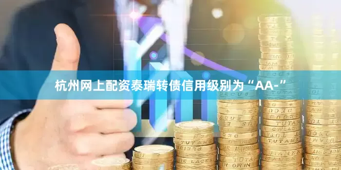 杭州网上配资泰瑞转债信用级别为“AA-”