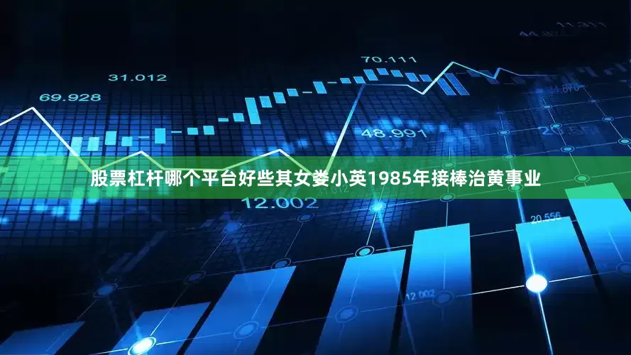 股票杠杆哪个平台好些其女娄小英1985年接棒治黄事业
