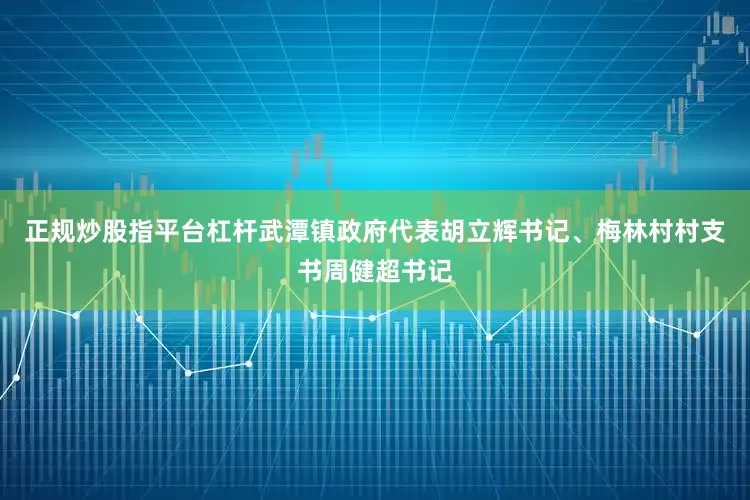 正规炒股指平台杠杆武潭镇政府代表胡立辉书记、梅林村村支书周健超书记